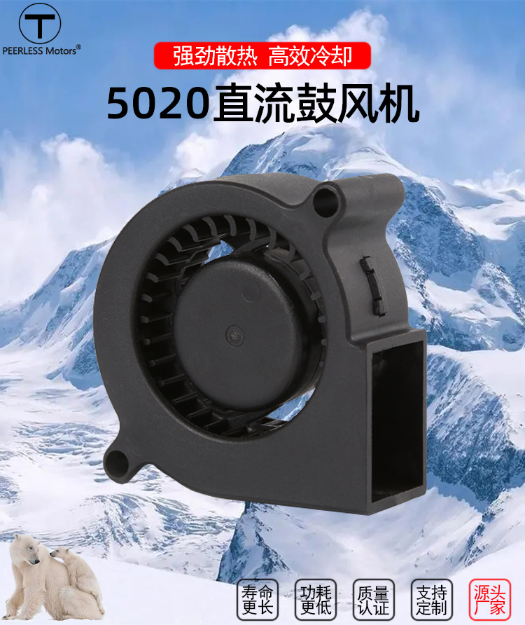 5020直流鼓風(fēng)機_01.jpg